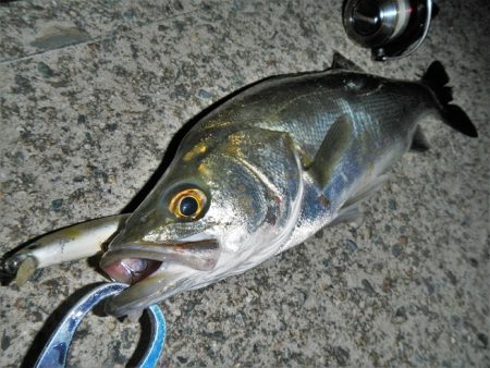 オートリリース