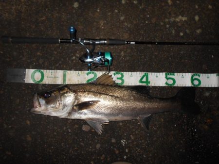 うにょうにょとJHリグを使い分けて。