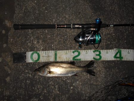 バチのサイズが小さくて苦戦…。