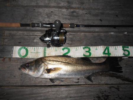 前半は表層 後半はテクトロで連発♪。