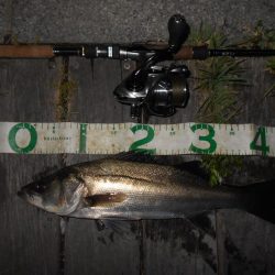 昨日より渋い…。