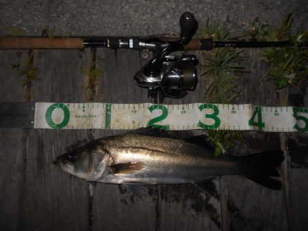 昨日より渋い…。