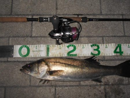 X-RAPで1ヒットのみ…。