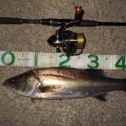 イレギュラーな動きに反応有り。