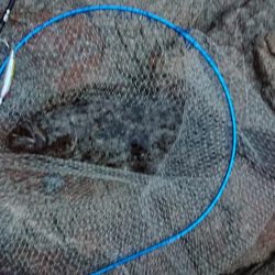 仕事終わりに、ふらっと・・・！