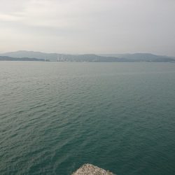 今年の初太刀魚