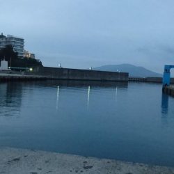 ファミリーフィッシング