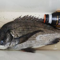 ファミリーfishing！