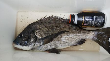 ファミリーfishing！