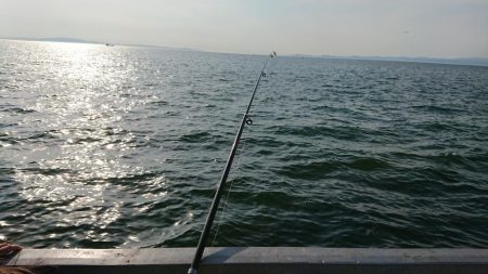 子供とサビキを楽しめました