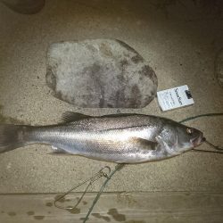 仕事おわりに二時間夕涼み