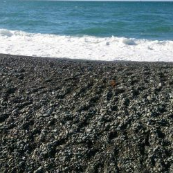 ライトショアジギ