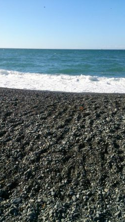 ライトショアジギ