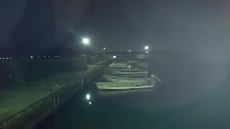 長期出張中夜の散歩