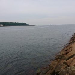 キス釣りなのに早朝アナゴ