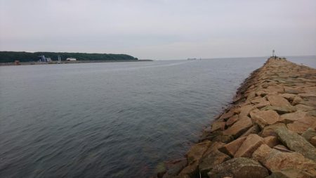 キス釣りなのに早朝アナゴ