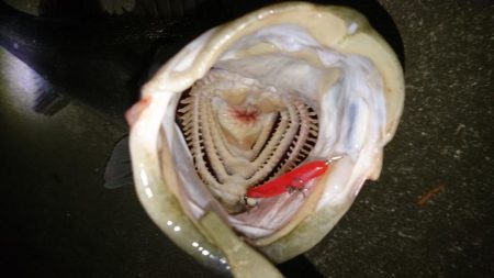 ハラハラドキドキ