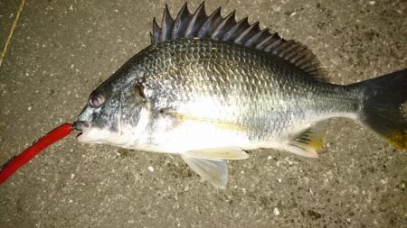 アタリがぁぁぁ～ないぃぃぃ～(´Д｀)