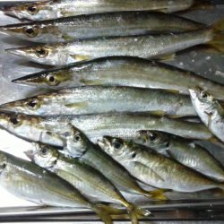 美味しくいただきました。