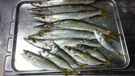 美味しくいただきました。