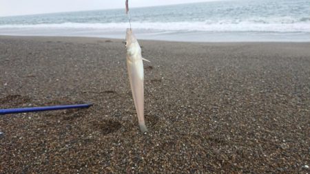 ダイワキスマスターズに重なり