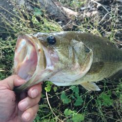 今日もカバー奥にピッタリ
