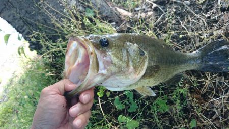 今日もカバー奥にピッタリ
