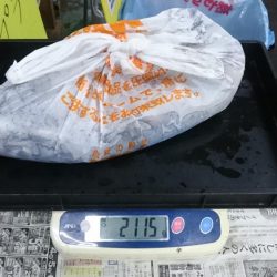 夕まずめ狙いで行って来ました。