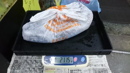 夕まずめ狙いで行って来ました。