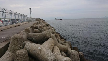 落とし込みチヌ