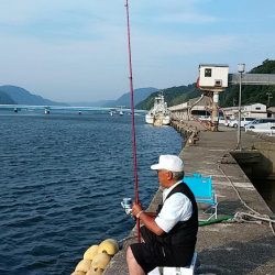 津居山漁港小島岸壁へリベンジ釣行