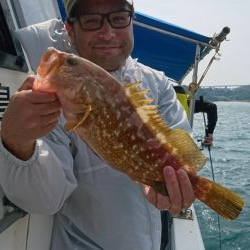 遊漁船110番 釣果