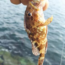 今日も行ってきました！