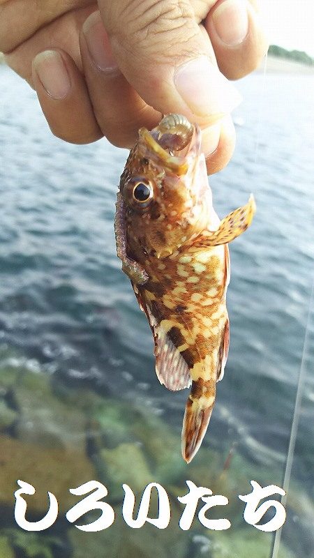 今日も行ってきました！