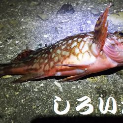 ガッシー、移動してキス。