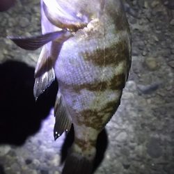 初めての場所。