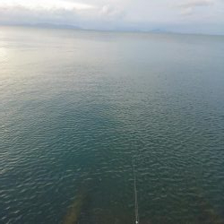 トップの外道といえば。