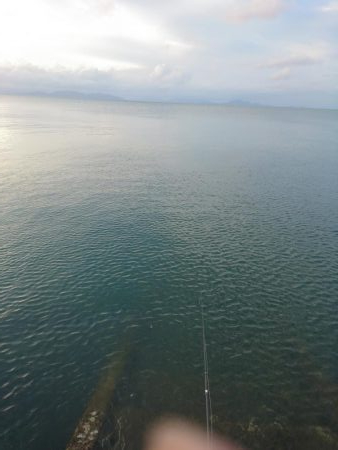 トップの外道といえば。