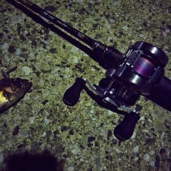 マゴチを釣りに行ったはずが…