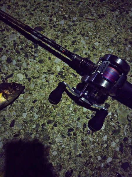 マゴチを釣りに行ったはずが…