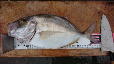 県南タイラバ&ライトジギング