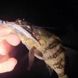 こんなにも違うのか