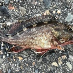 出勤前に。  part 6