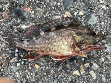 出勤前に。  part 6