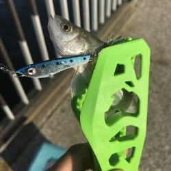 武豊緑地公園のライトゲーム!