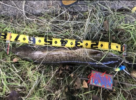 ルアーチョイスで自己ベストタイ