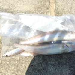 イカとキス(//∇//)