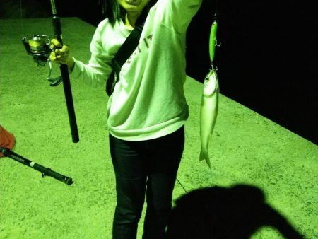 シーバスが留守中。