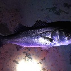 バチパターン初の友人1本＆自分10発w