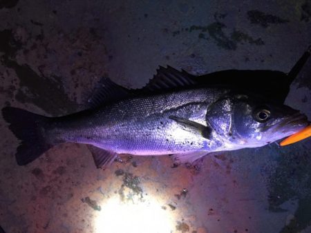 バチパターン初の友人1本＆自分10発w